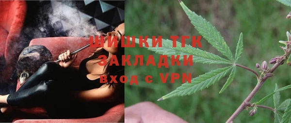 индика Бутурлиновка