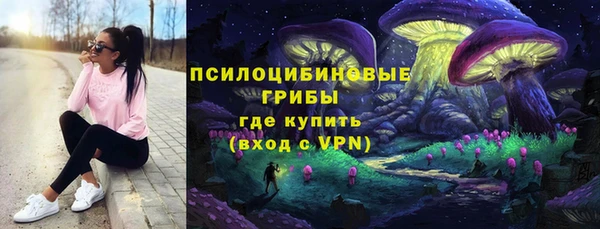 соль ск Валдай