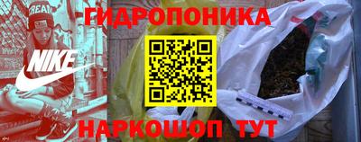 PSILOCYBIN Гатчина
