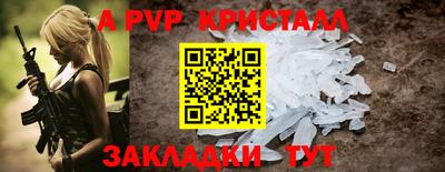 PSILOCYBIN Гатчина