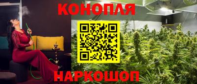 дурь Гай
