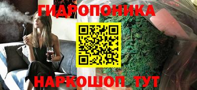 PSILOCYBIN Гатчина