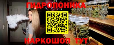PSILOCYBIN Гатчина