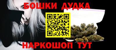 PSILOCYBIN Гатчина