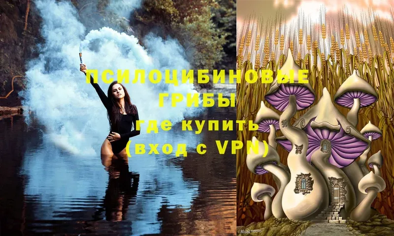 Галлюциногенные грибы Cubensis  Кумертау 