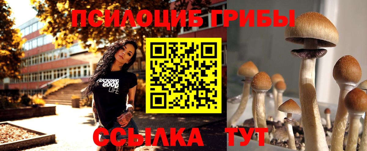 Кумертау  где можно купить   Вход с VPN  Галлюциногенные грибы GOLDEN TEACHER 